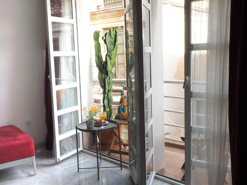 Ollerias 35 apartamento